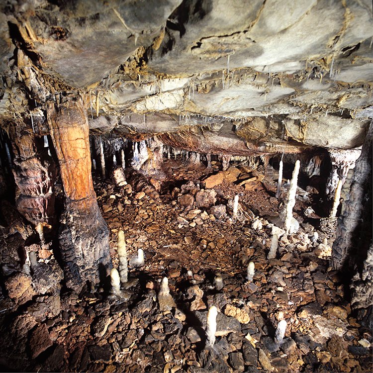 Část jeskyně La Garma, v níž byly nalezeny lví kosti