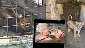 V Česku lze koupit doslova cokoli. Blesk Zprávy se na vlastní kůži přesvědčily o tom, že pořídit velkou tropickou šelmu, jako je třeba lev nebo puma, není až tak velký problém.