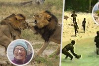 Sněden kanibaly nebo rozsápán lvy: Jak se dá umřít během dovolené