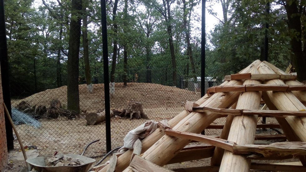 Nový brněnský lvinec leží na vrcholu celé zoo. Expozice využívá členitý terén.