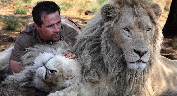 Zaříkávač lvů: Pomazlí se s lvicí i jejím "manželem"