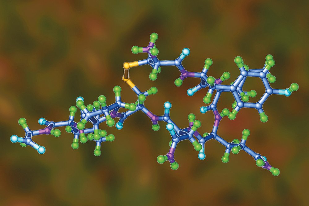 Model molekuly hormonu oxytocinu