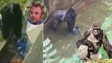 Zastřelení goriláka Harambeho bylo správné, myslí si muž, kterého před 30 lety zachránil primát