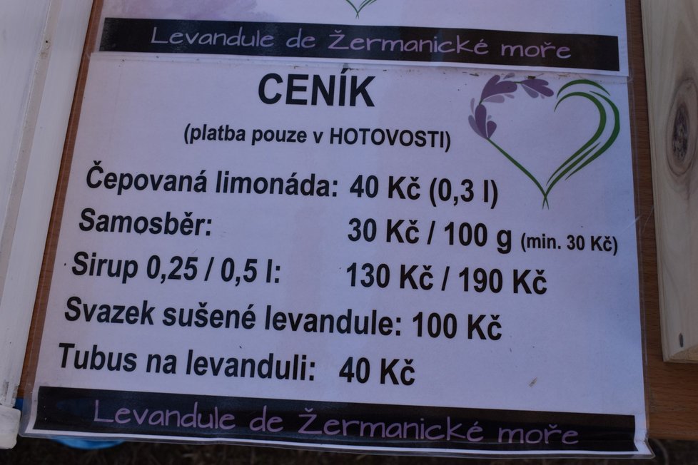 Ceník a pravidla pro samosběr levandule v Bruzovicích.