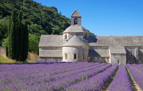 Vydejte se do Provence: Uchvátí vás nejen levandulí