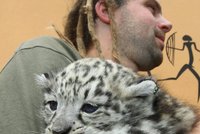 Plzeňská zoo se pyšní vzácnými levhartími koťaty