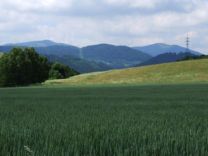 Levočské vrchy