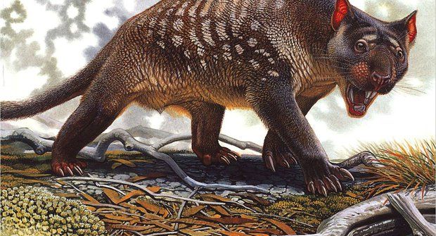 Co zabilo megafaunu? Kupodivu ne člověk