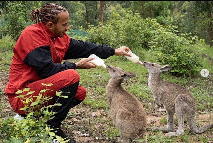 Lewis Hamilton si  Austrálii zahrál na kojnou