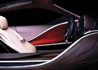 Lexus v Detroitu představí koncept sportovního vozu (nové foto)