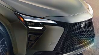 Lexus NX 350h Luxury Lexus NX 350h Luxury