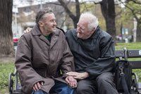 Zákaz styku s vnoučaty, strach z domova důchodců: Jak žijí homosexuální senioři?