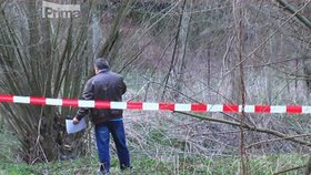 Mrtvého novorozence našli u potoka v obci Lhotka u Přerova. 