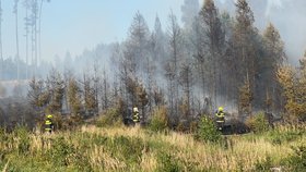 Požár lesního porostu u vojenského prostoru na Libavé na Přerovsku.