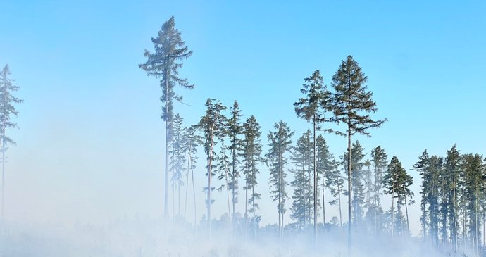 U vojenského prostoru Libavá v Olomouckém kraji hoří les: Rozšíření požáru pomohl vítr