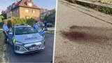 Noční vražda v pražské vilové čtvrti?! Na ulici našli mrtvého mladíka (†32), kolem byla krev
