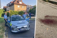Mrtvý mladík (†32) ležel v Libni v kalužích krve: Zvrat! Z vraždy obvinili muže (42), policie hledá svědky