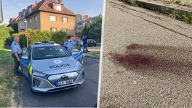 Pražští policisté vyjížděli 20. června do Libně, kde bylo kolem půl třetí ráno ve vilové čtvrti nalezeno bezvládné tělo mladého muže. Na zemi bylo několik kaluží krve.