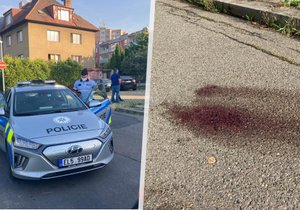 Pražští policisté vyjížděli 20. června do Libně, kde bylo kolem půl třetí ráno ve vilové čtvrti nalezeno bezvládné tělo mladého muže. Na zemi bylo několik kaluží krve.