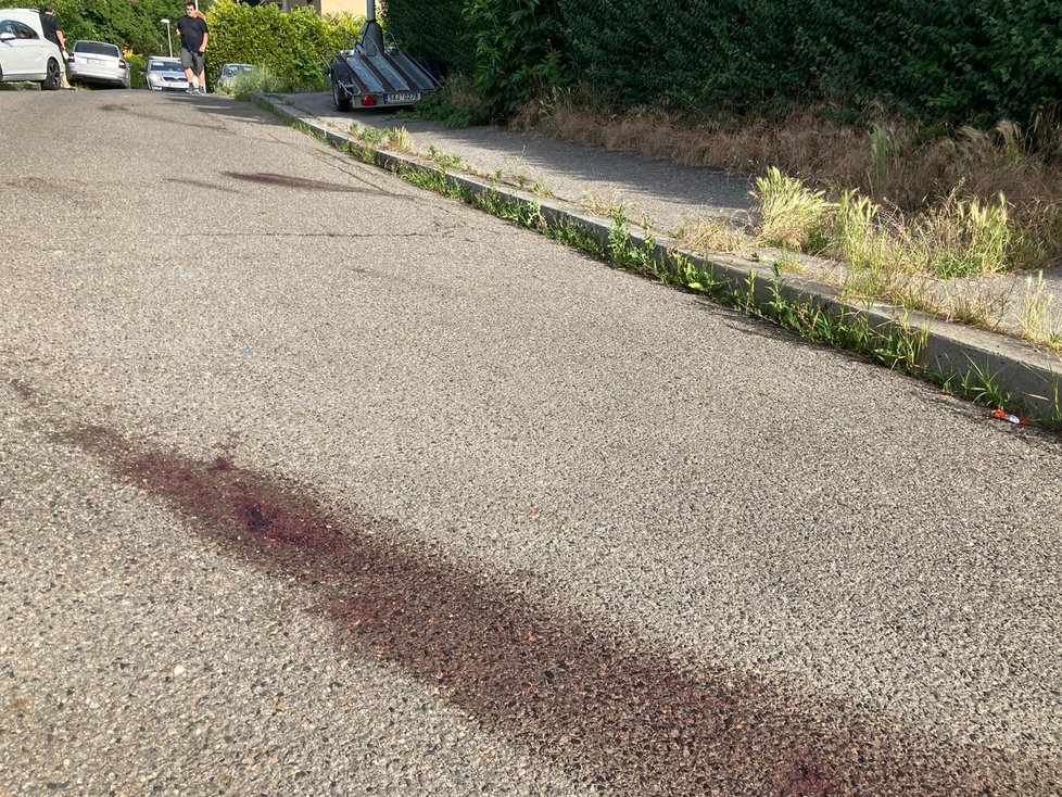 Pražští policisté vyjížděli 20. června do Libně, kde bylo kolem půl třetí ráno ve vilové čtvrti nalezeno bezvládné tělo mladého muže. Na zemi bylo několik kaluží krve.