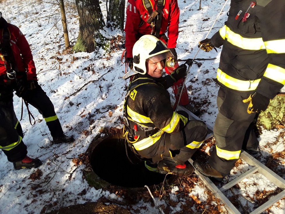 Liberečtí hasiči vytáhli z šachty kočičku: Majitelka ji hledala už měsíc.