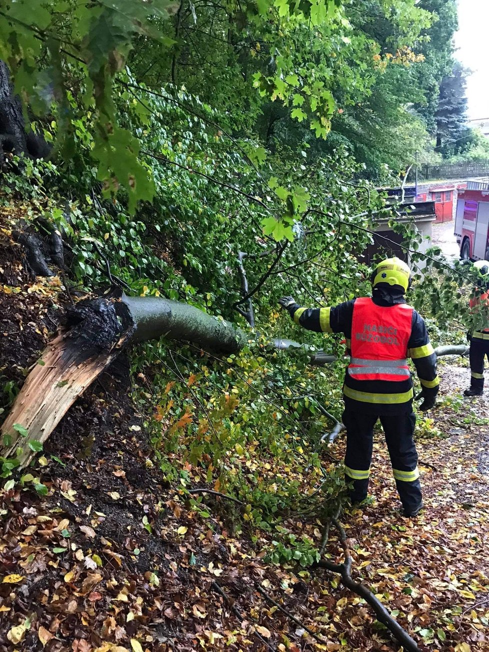 Hasiči Libereckého kraje zasahovali u popadaných stromů. (14.10.2020)