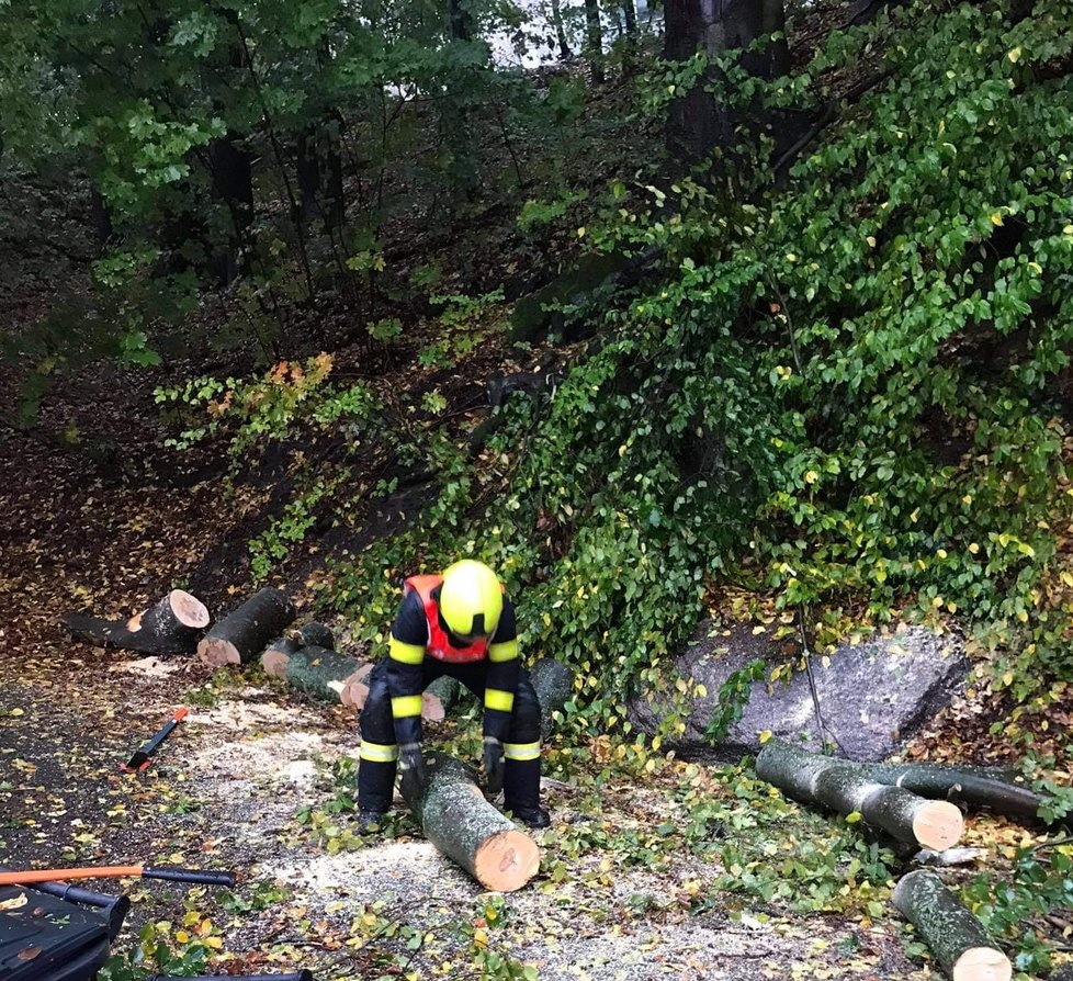 Hasiči Libereckého kraje zasahovali u popadaných stromů (14. 10. 2020).