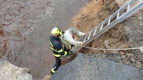 Žena v Hejnicích uvízla v řece Smědé při záchraně psa.