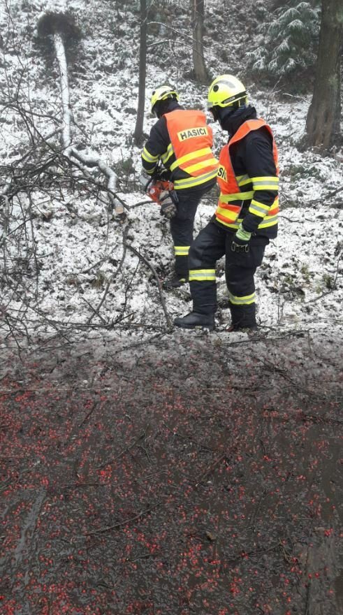 Odstraňování stromů, které nevydržely nápor sněhu v Libereckém kraji (6.12.2022)