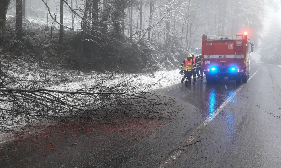 Odstraňování stromů, které nevydržely nápor sněhu v Libereckém kraji (6.12.2022)