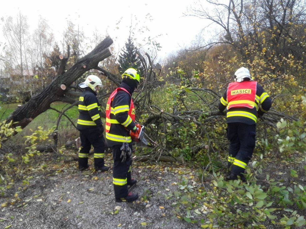 Zásah kvůli počasí v Libereckém kraji (24.11.2023)