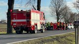 Vážná nehoda na Mělnicku: Řidič nepřežil náraz do stromu
