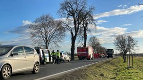 Řidič u Liblice na Mělnicku nepřežil náraz do stromu.