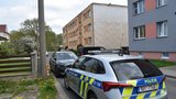 Policisté dali ženě druhou šanci: Zachránili ji těsně před sebevražedným skokem z okna