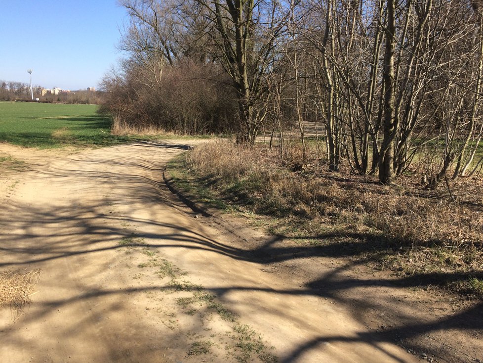 Řidiči si zkracovali cestu kolem opravované Libušské ulice přes polní cesty, umístily se sem zátarasy.