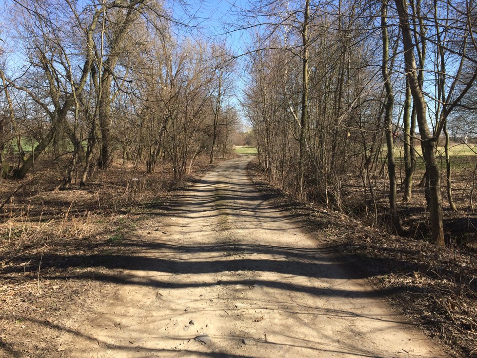 Řidiči si zkracovali cestu kolem opravované Libušské ulice přes polní cesty, umístily se sem zátarasy.