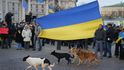 Lidé v ulicích Kyjeva požadují odstoupení či odvolání prezidenta Viktora Janukovyče za to, že odmítl podepsat dohodu o přidružení k Evropské unii.