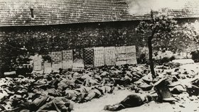 Nacisté v roce 1942 vypálili obec Lidice.