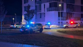 V Kladně v noci hořel obchodní dům Lidl