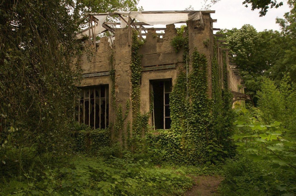 Ruiny ukryté v bujné zeleni