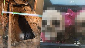 Muž ve Gbelích kopal garáž, našel kostry! Lebka byla jen 80cm po povrchem