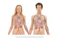 Anatomie lidského těla muže a ženy se liší