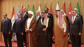 Zástupci Ligy arabských zemí