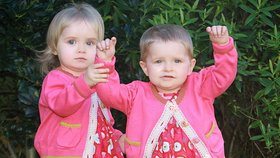 Malá Lilly zvítězila nad rakovinou, fandila jí její sestra, dvojče Molly.