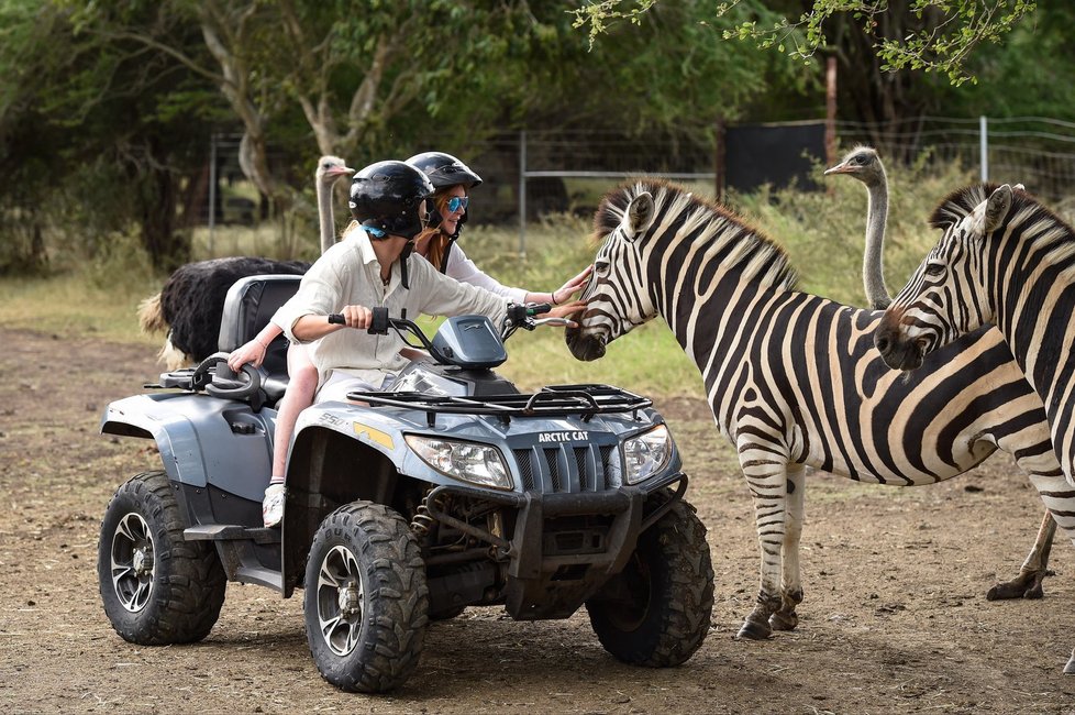 Dovolená Lindsay a jejího přítele na safari