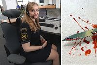 Pokus o sebevraždu v Číně i napadení robotem! Takhle operátorka linky 112 Kateřina zachraňuje životy