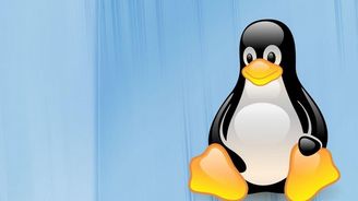 Před 20 lety se zrodil systém Linux. Revoluce se však nekonala