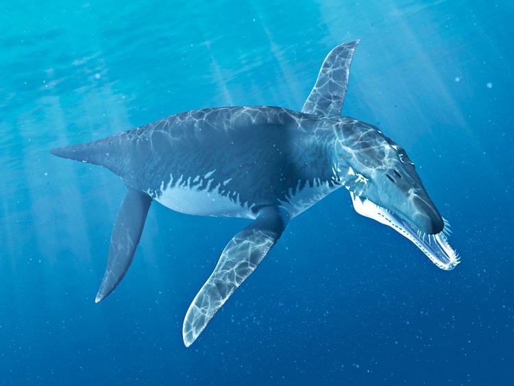 Ichtyosaury lovil například tento desetimetrový mořský krokodýlovitý plaz Liopleurodon