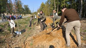 Výsadba zeleně u hranic Prahy. V Kolovratech přiloží ruku k dílu dobrovolníci