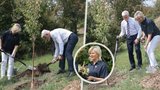 Pavel a první dáma Eva se chopili rýčů. Vysadili v Praze český národní strom